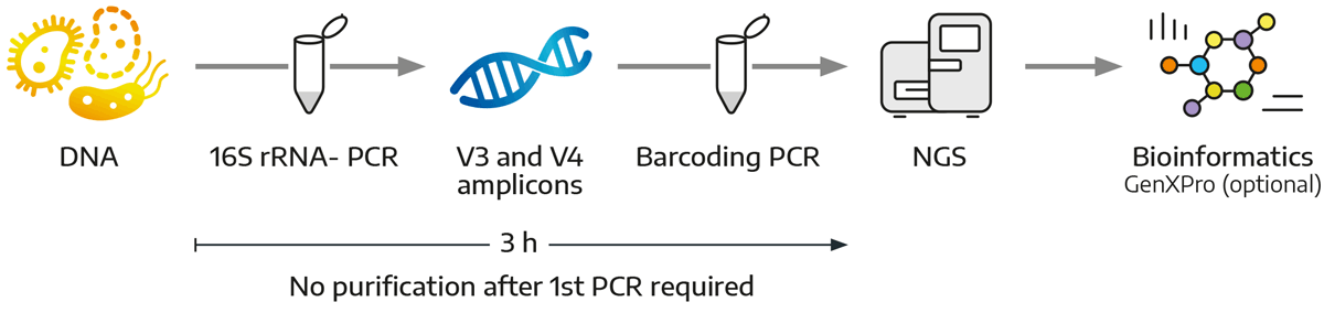Workflow 16S rRNA-Seq