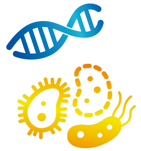 Icons DNA Microbiome