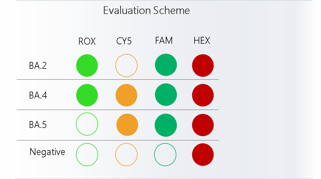 BA.2, BA.4 & BA.5 identification in screening PCR for COVID