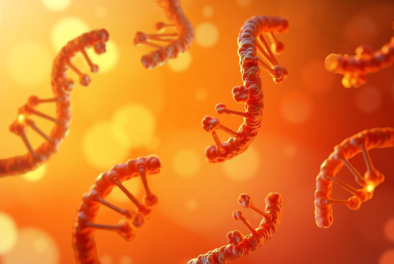 pan-RNA-Sequencing
