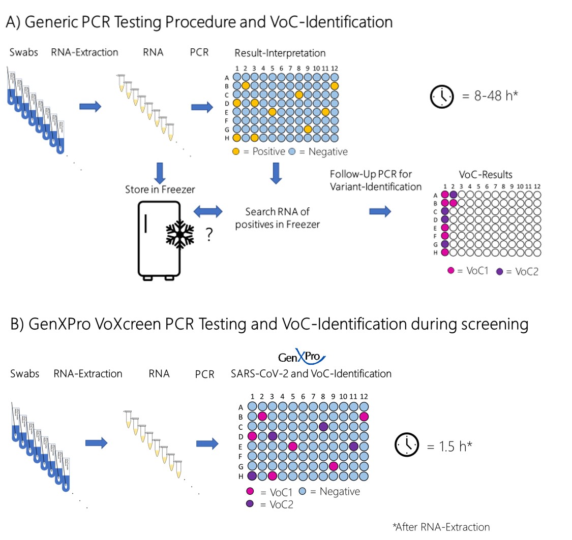A)	VoC-Identification after screening PCR: positive samples need to be searched for in the freezer for secondary PCR or sequencing. Sample mixing possible. RNA may already be degraded due to more freeze-thaw cycles. Follow-up PCRs need time and sequester urgently needed PCR capacities.  B)	GenXPro VoXcreen PCR identify VoCs during screening PCR to save time, resources and to free PCR capacities. 