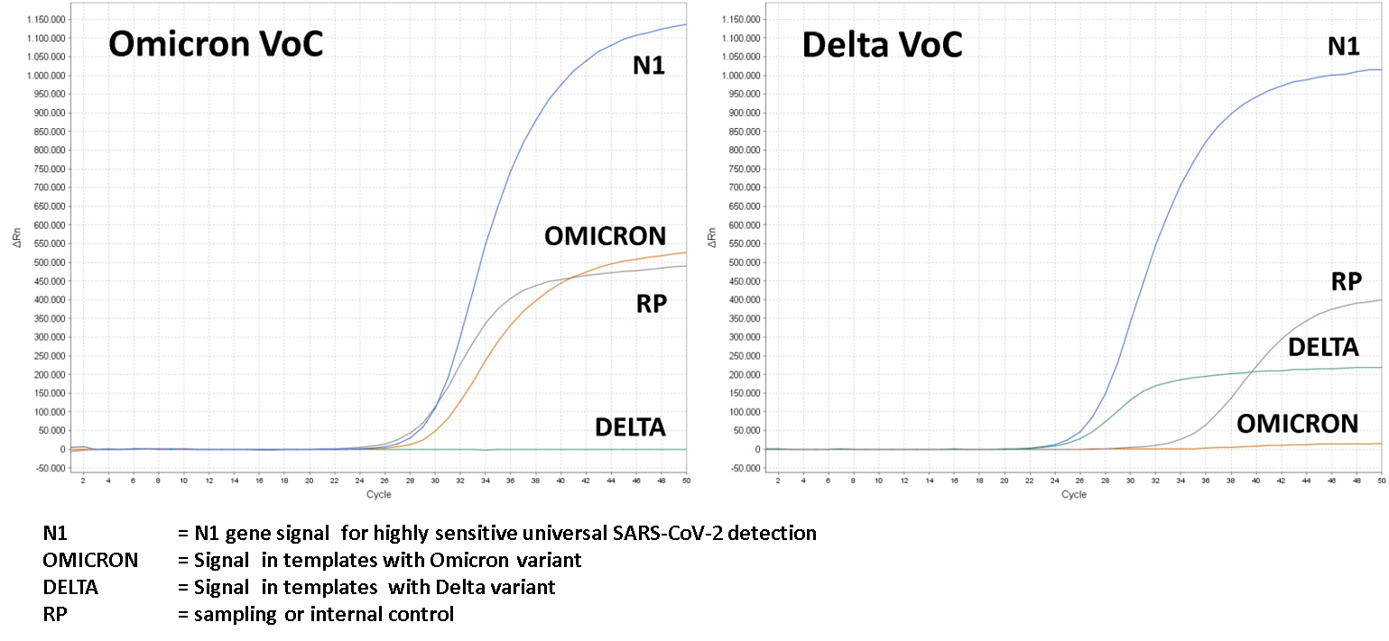 Above: PCR results of Omicron VoC (left) and Delta VoC (right) using our VoXcreen-DO assay