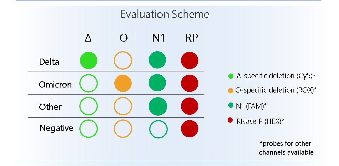Above: Evaluation scheme of our VoXcreen-DO assay for simultaneous dual-target SARS-CoV2 identification and VoC-determination in a single assay.